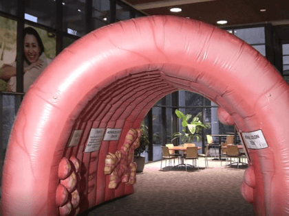 Has anyone seen a giant colon?!? There is a $1,000 reward for it to be returned: