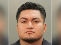 illegal illegal