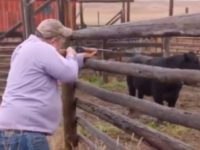 jon tester jon tester