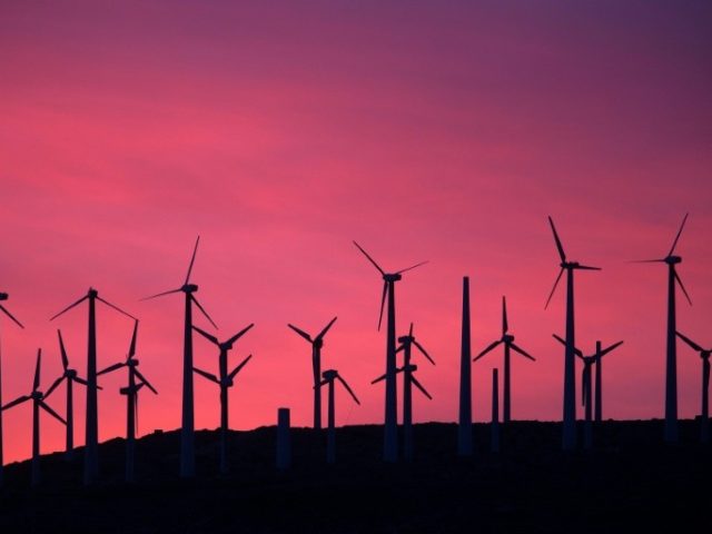 Wind turbines contribute to climate change: study