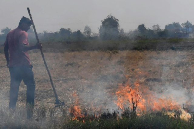 Delhi holds breath as burning farms herald pollution season