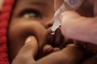 Six new cases of polio were found in Nigeria in 2018, sparking a mass vaccination campaign targeting more than three million children under the age of five