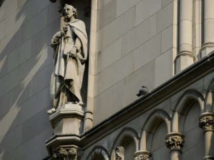 Catholic church split over abuse scandal gravity