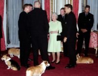 The little, fluffy dogs with pointy ears have been a constant presence in Queen Elizabeth II's court