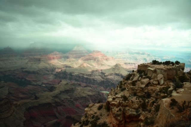 Handful of states hold fate of world's vanishing wilderness