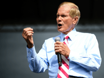 Senator Bill Nelson campaigns at the 65th Infantry Veterans Park on November 4, 2018 in Kissimmee Florida. Mr. Nelson is facing off against Republican Florida Governor Rick Scott for the Florida Senate seat. (Photo by Jeff J Mitchell/Getty Images)