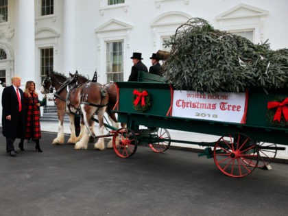 President Donald Trump and first lady Melania Trump receive the White House Christmas Tree
