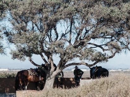 US Border Patrol take a break with their horses underneath a tree at Friendship Park in Sa