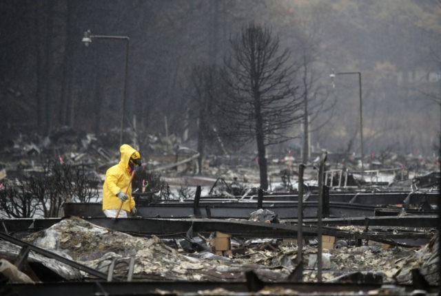 PARADISE, CALIFORNIA - NOVEMBER 21: A search and rescue crew member searches for human rem