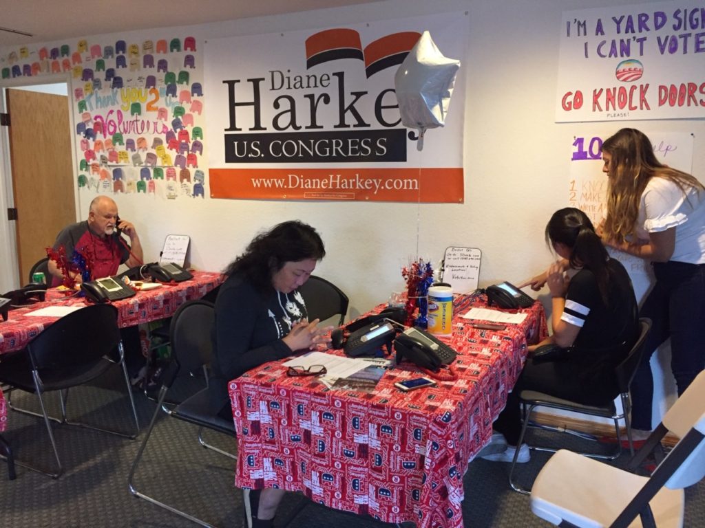 Diane Harkey for Congress (Joel Pollak / Breitbart News)
