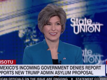 Joni Ernst