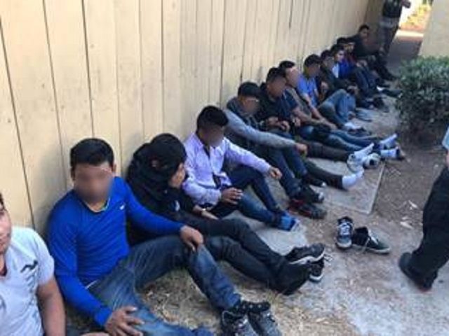 San Diego Border Patrol officials find large groups of migrants in human smuggling stash h