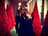 Melania Among Red Christmas Trees Melania Among Red Christmas Trees