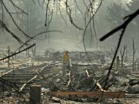 Of Course the California Wildfire Problem Can Be Solved