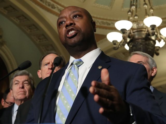 Tim Scott (Mark Wilson / Getty)