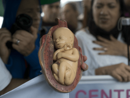 A demonstrator holds a plastic doll shaped like a fetus during a Catholic church event aga
