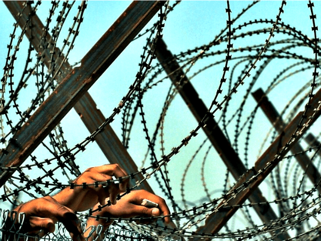 barbed wire at border