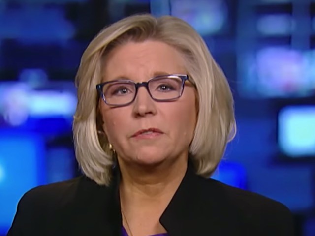 Liz Cheney on Syria: Rand Paul 'Focused on Blame America ...