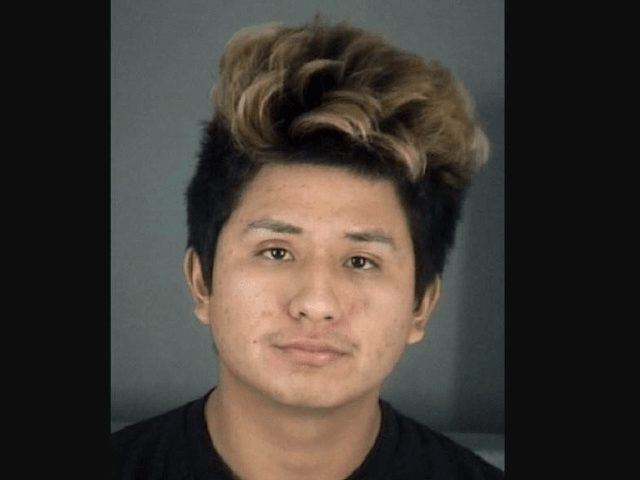 Daniel Enrique Fabian, 18, faces two counts of lewd and lascivious battery on a person bet