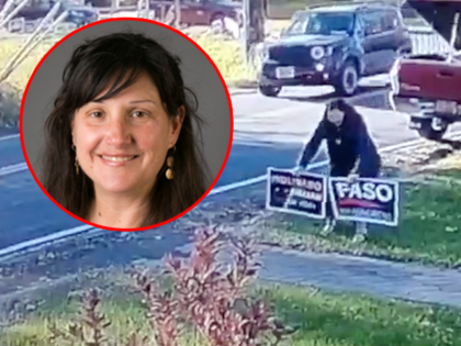 SUNY professor Laura Ebert, accused by police of stealing campaign signs