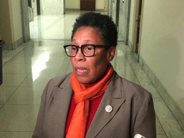 House Democratic Leader Nancy Pelosi met with prominent Democratic critics including Rep. Marcia Fudge, an Ohio lawmaker who is considering whether to run for House speaker and challenge Pelosi, who is seeking a return to the role leading the party when it retakes the majority in the new Congress.