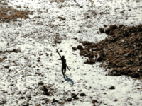 An American man has been killed by an endangered tribe in India's Andaman and Nicobar islands. An American man has been killed by an endangered tribe in India's Andaman and Nicobar islands.
