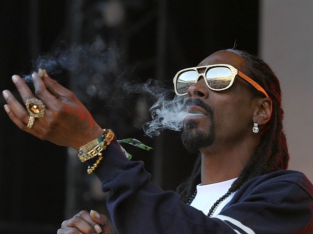 Rapper Snoop Dogg performs during Hot 97's Summer Jam at MetLife Stadium on Sunday, June 1, 2014 in East Rutherford, New Jersey. (Photo by Donald Traill/Invision/AP)
