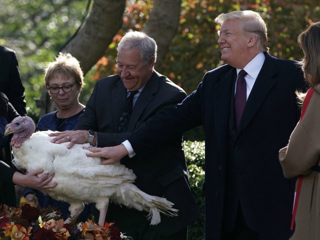 U.S. President Donald Trump participates in a turkey pardoning event as one of the two candidate turkeys Peas stands on a table at the Rose Garden of the White House November 20, 2018 in Washington, DC. The two turkeys, Peas and Carrots, will spend the rest of their lives in â¦