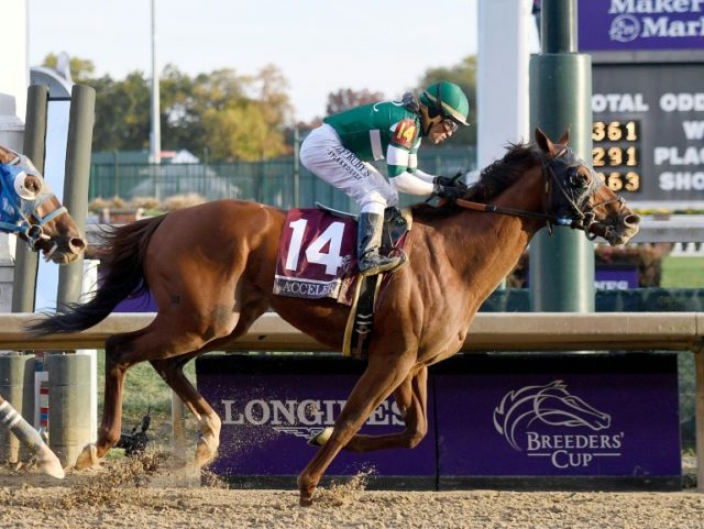 Accelerate wins Breeders' Cup Classic