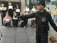 This picture taken and provided to AFP by Zhifan Liu shows demonstrating students holding placards outside an Apple Store in Beijing