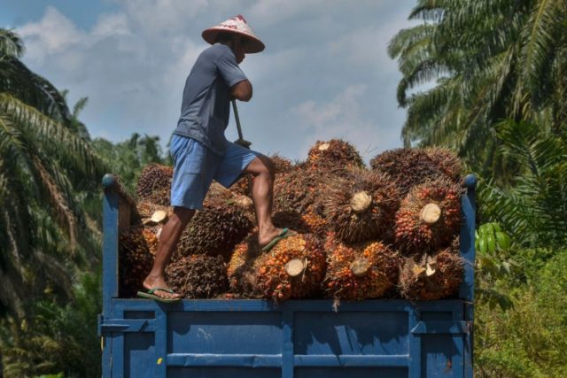 UK supermarket's viral orangutan ad slammed by palm oil giant