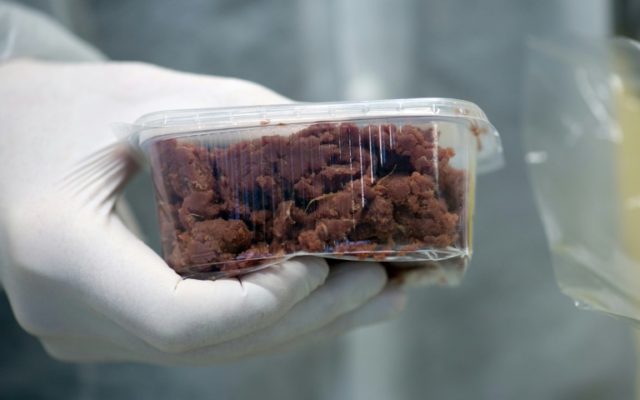 US paves way to get 'lab meat' on plates