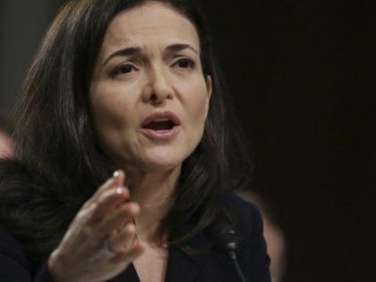 Facebook's Sandberg vows 'thorough' review of lobby efforts