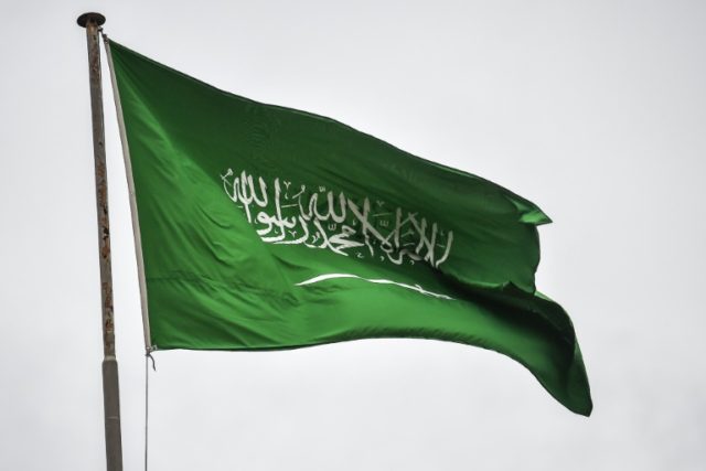 Detained Saudi activists face torture: Amnesty