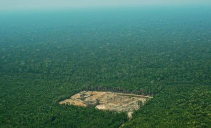 Brazil loses 'one million football pitches' worth of forest