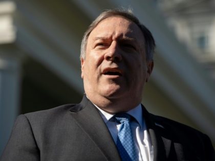 Yemen conflict would worsen without US support for Riyadh: Pompeo