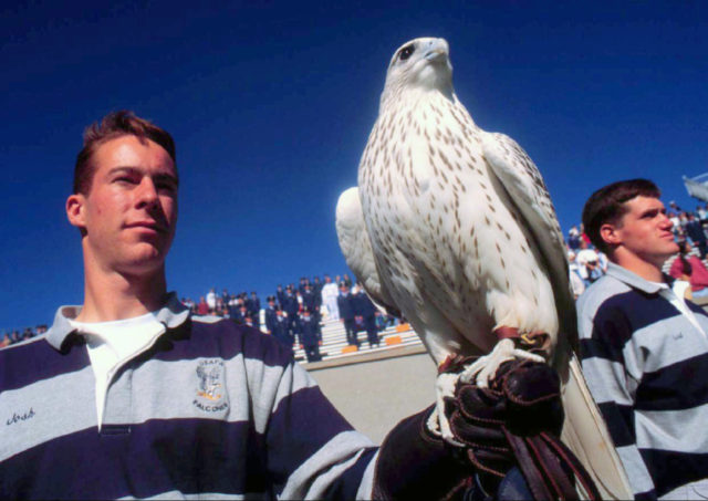 Air Force Falcon In this Sept. 28, 1996, photo Air Force Academy falconer Josh Johnson stands with falcon Aurora, the academy's official mascot, at the end of a game against Rice at Air Force Academy, Colo. The falcon, which was injured during a prank before the annual rivalry football game against Army, is recovering back in Colorado, but her long term prognosis is unclear. (The Gazette via AP) The Associated Press