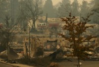 Dogs and DNA: Search for California fire victims intensifies