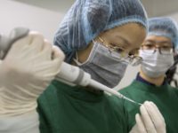 Genetic Frontiers Gene Edited Babies In this Oct. 9, 2018 photo, Zhou Xiaoqin, left, loads Cas9 protein and PCSK9 sgRNA molecules into a fine glass pipette as Qin Jinzhou watches at a laboratory in Shenzhen in southern China's Guangdong province. Chinese scientist He Jiankui claims he helped make world's first genetically edited babies: twin girls whose DNA he said he altered. He revealed it Monday, Nov. 26, in Hong Kong to one of the organizers of an international conference on gene editing. (AP Photo/Mark Schiefelbein) The Associated Press