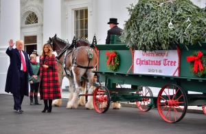 President, first lady receive White House Christmas tree