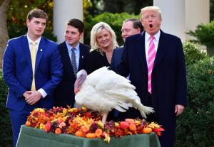 Trump pardons National Thanksgiving Turkey 'Peas'