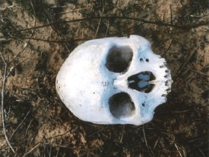 Skeletal remains of what is believed to be an unidentified migrant were found in Brooks County, Texas. (Photo: Brooks County Sheriff's Office)