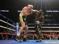 Wilder Fury