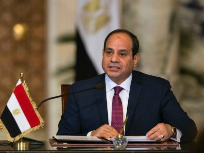 Egyptian President Abdel Fattah al-Sisi speaks on during a press conference with his Russi
