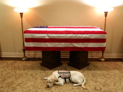 Sully, a golden Labrador, began his final mission as a service dog to former President Geo