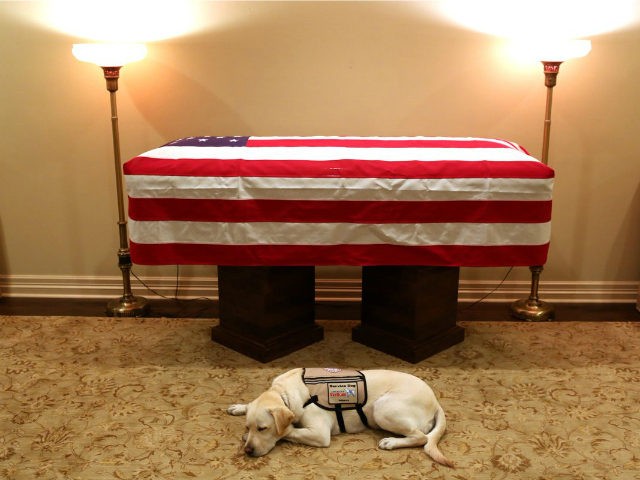 George-HW-Bush-casket-service-dog-Sully-social-media-640x480.jpg