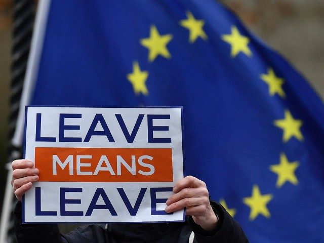 A European Union (EU) flag flies beyond an anti-EU, pro-Brexit demonstrator as they hold a placard reading 'Leave Means Leave' during a protest opposite the Houses of Parliament in London on December 6, 2018. - British MPs will hold a crucial vote on December 11 to approve or reject the …