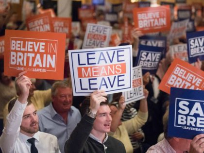 TORQUAY, ENGLAND - OCTOBER 13: People hold up posters at the 'Leave Means Rally' at the Rivera International Centre on October 13, 2018 in Torquay, England. Leave Means Leave is a pro-Brexit campaign, holding a series of rallies and events across the United Kingdom. (Photo by Matt Cardy/Getty Images)