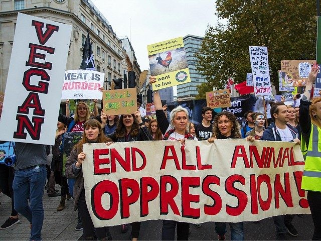 LONDON, ENGLAND - OCTOBER 29: Protesters hold placards and banners during an animal rights