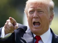 ap (13) President Trump